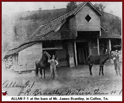 TENNESSEE WALKING HORSE HALL OF FAME – TWHBEA