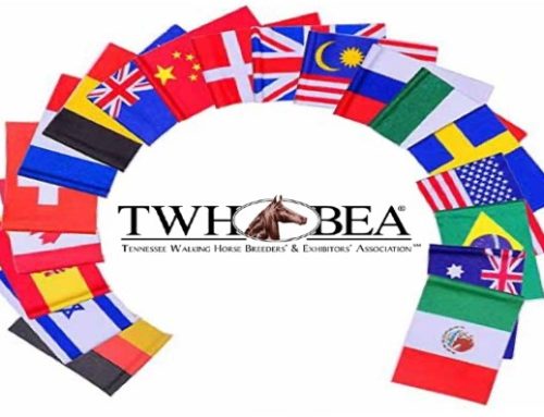 2nd Annual TWHBEA International Video Horse Show Competition Extended to November 30, 2021