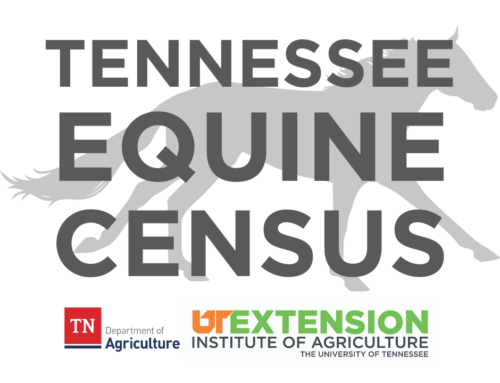 UT Conducting Survey on Impact of Tennessee Equine Industry