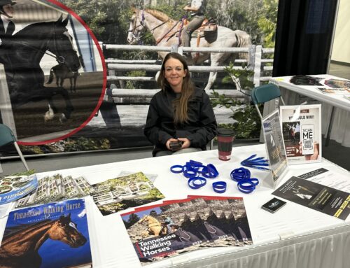 TWHBEA Represents the Breed at the 2024 Horse Expo Canada Show