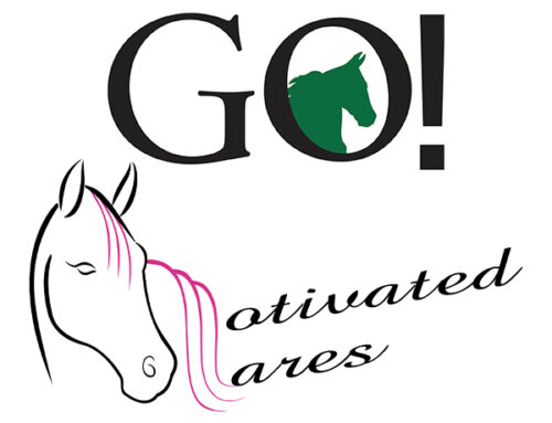 Added Money for Go Geldings and Motivated Mare Programs
