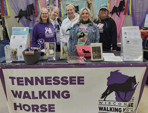 Tennessee Walking Horses Shine at  the 2024 Midwest Horse Fair