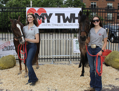 Nashville Sounds Host Tennessee Walking Horse Industry