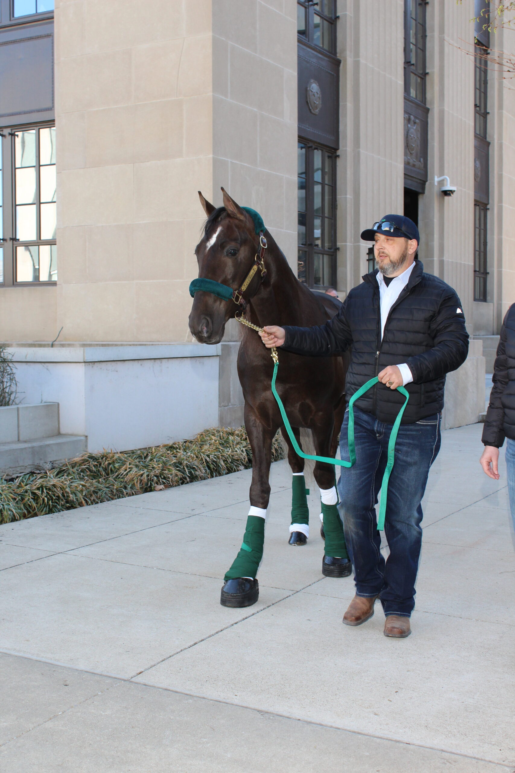 Trainer Tim Smith led CAVENDER to join the early morning crowd on Capitol Hill.