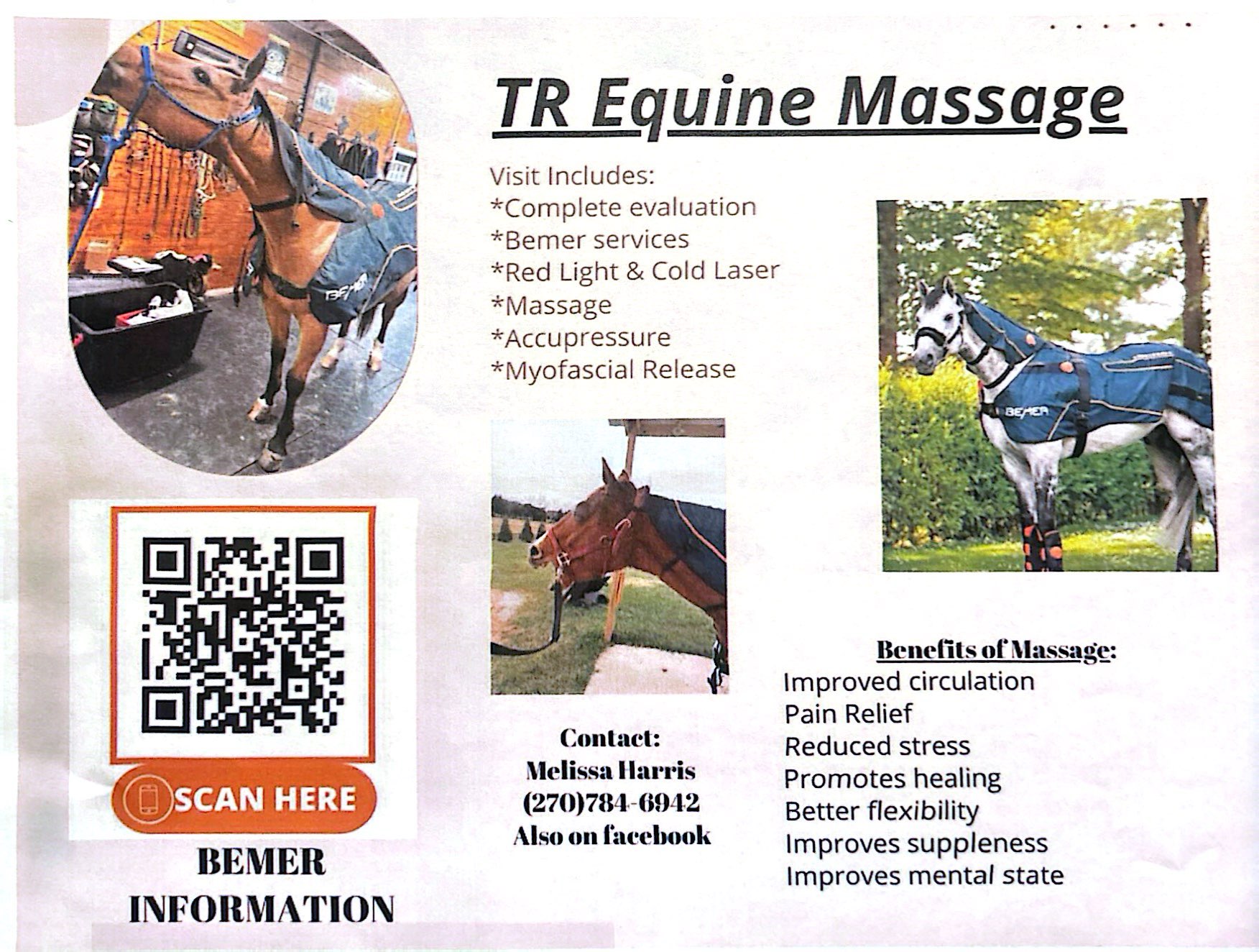 Equine Massage Therapy logo