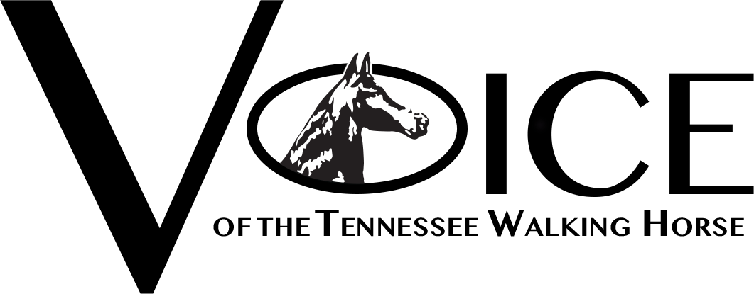 Voice Magazine logo